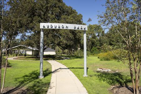 Audubon by Westin Homes in Magnolia - image 15