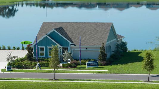 The Peninsula at Rhodine Lake by David Weekley Homes in Riverview - photo 8 8