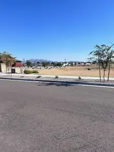 Silva Farms - Estate Series by Meritage Homes in Goodyear - image 17