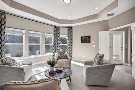 Silver Landing at SilverLeaf by Dream Finders Homes in St. Augustine - image 9