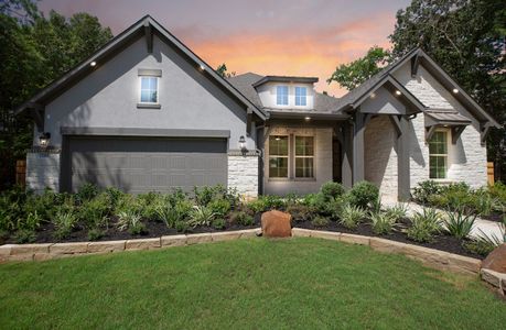 ARTAVIA by Beazer Homes in Conroe - photo 5 5