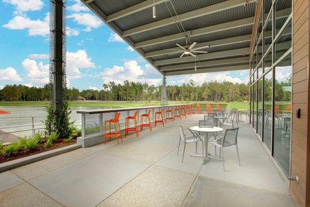 ARTAVIA 65' Homesites by David Weekley Homes in Conroe - photo 9 9