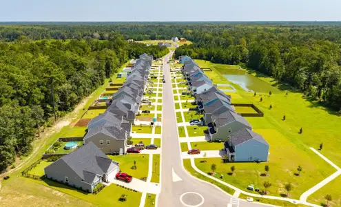 Parker's Preserve by Eastwood Homes in Ridgeville - image 11