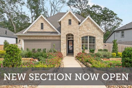 The Woodlands Hills 45' by David Weekley Homes in Willis - photo 39 39