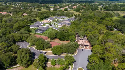 Lake County Communities by Maronda Homes in Mount Plymouth - image