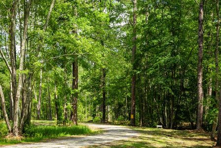 Ashmore Square by Ryan Homes in Charlotte - image 8