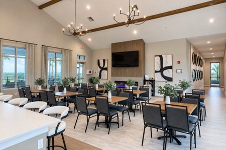 Hills of Minneola by Dream Finders Homes in Minneola - image 16