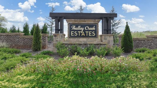 Thalley Creek Estates by D.R. Horton in Cumming - image