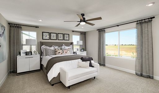 Fossil Creek by Richmond American Homes in Windsor - photo 29 29