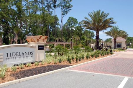 Tidelands by SeaGate Homes in Palm Coast - photo 0