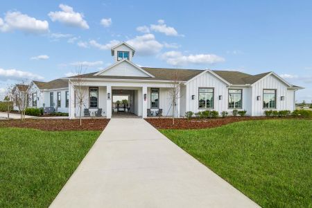 Hawthorne Ranch by M/I Homes in Lakeland - image 14