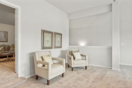 Emerald Vista by Bloomfield Homes in Wylie - photo 18 18