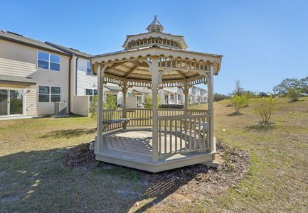 Tyson Townhomes by Starlight Homes in Zephyrhills - photo 8 8