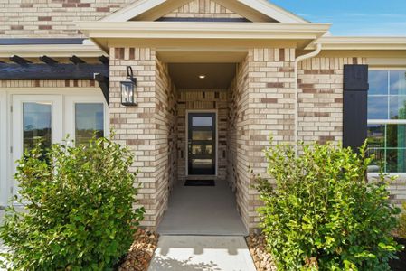 Liberty Collection at Maple Woods 21