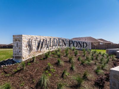 Walden Pond by Rockwell Homes in Forney - image 14