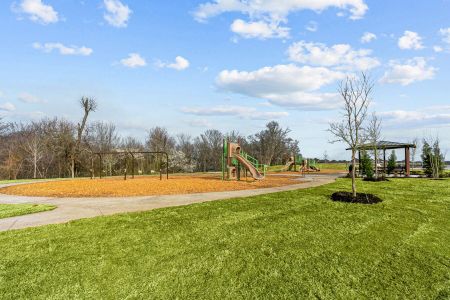 Forest Park by M/I Homes in Princeton - photo 5 5