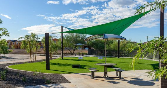 Encore Collection At Union Park by Cachet Homes Arizona in Phoenix - photo 4 4