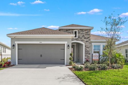 North River Ranch - Master planned community in Parrish, FL 38 38