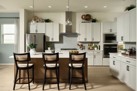 The Aurora Highlands The Vistas by David Weekley Homes in Aurora - image 5