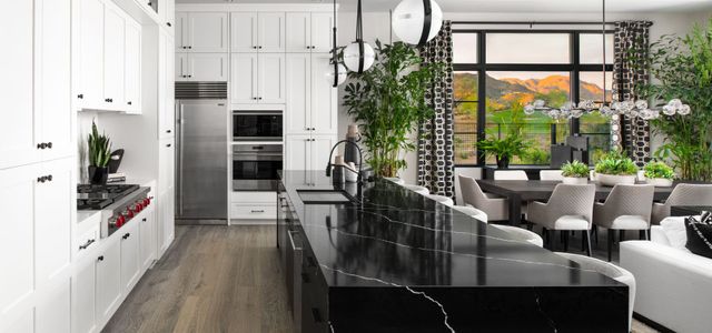 The Villas II at Desert Mountain by Camelot Homes in Scottsdale - image 5