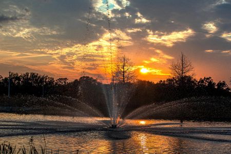 Aviary at Rutland Ranch - Master planned community in Parrish, FL 9 9