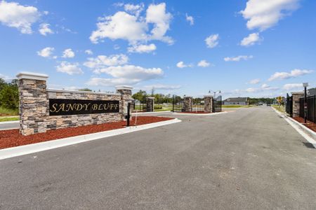 Sandy Bluff by SEDA New Homes in Yulee - image