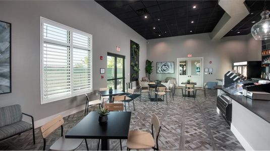 Verdana Village: Executive Homes 10