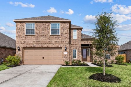 Lago Mar by LGI Homes in Santa Fe - photo 2 2