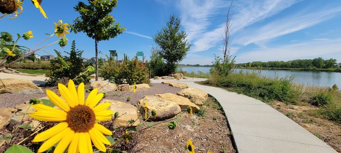 Barefoot Lakes by American Legend Homes in Firestone - photo 18 18