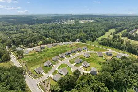 The Reserve at Chapel Hill Phase II by Kerley Family Homes in Douglasville - image