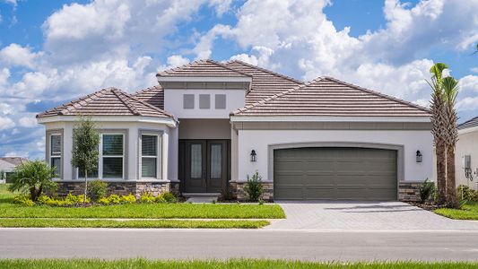 Esplanade at Wiregrass Ranch by Taylor Morrison in Wesley Chapel - photo 23 23