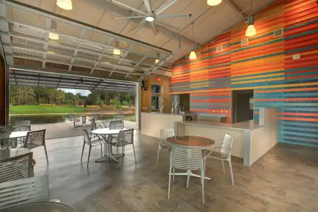 ARTAVIA 65' Homesites by David Weekley Homes in Conroe - image 3