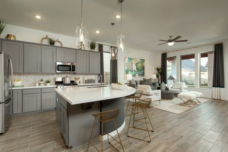 Windrose Green by Coventry Homes in Angleton - photo 5 5