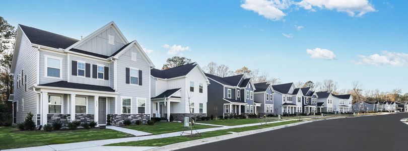 Cayden Cove: Summit Collection 1