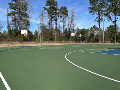 Waterfall Estates by Stevens Fine Homes in Whiteville - image