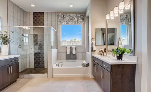 Mirada Crossing by Brightland Homes in Goodyear - photo 17 17