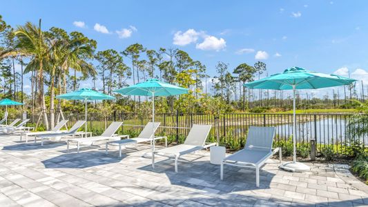 Cove Royale by Kolter Homes in Stuart - photo 43 43