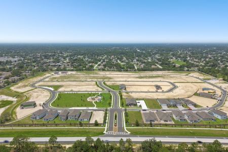 Anderson Snow Estates by M/I Homes in Spring Hill - photo 1 1