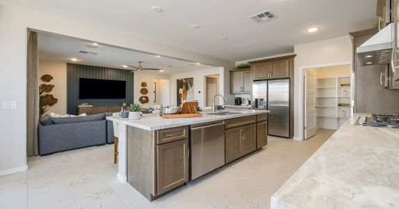 Eminence at Alamar by William Ryan Homes in Avondale - photo 43 43