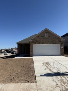 Lisso 40s by Taylor Morrison in Pflugerville - photo 11 11