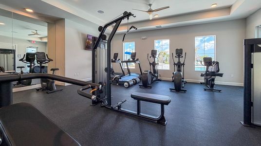 Seagrove: The Indies 31