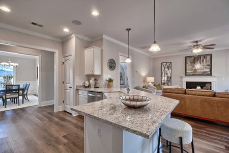 The Cove by Great Southern Homes in Sumter - image 11