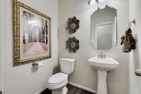 Balmoral East by Colina Homes in Houston - photo 30 30