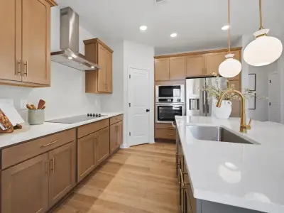 Greene Farm by Davidson Homes LLC in Cartersville - image 5