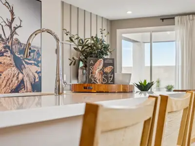 The Highlands Collection at Skyline Village 91