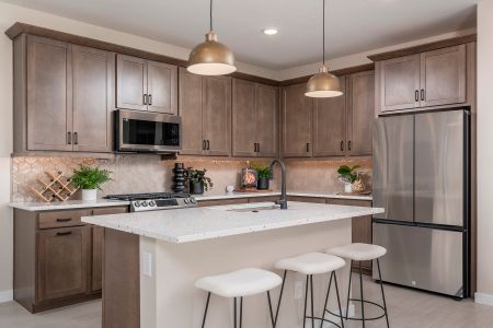 Solvida at Estrella by Risewell Homes in Goodyear - image 12