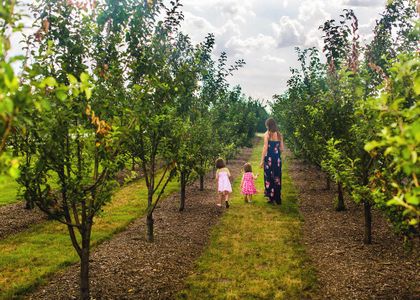 Harvest by CB JENI Homes in Argyle - photo 11 11