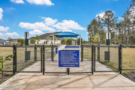 Silver Landing at SilverLeaf by Dream Finders Homes in St. Augustine - photo 6 6