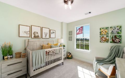 Cypress Green by CastleRock Communities in Hockley - photo 35 35