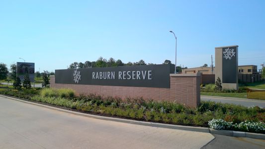 Raburn Reserve by Risewell Homes in Tomball - image